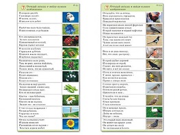 Комплект карточек (10) "Обучающий калейдоскоп. Природа" - fgospostavki.ru - Балахна