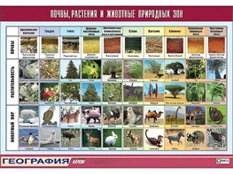Таблица демонстрационная "Почвы, растения и животные природных зон" (винил 70*100) - fgospostavki.ru - Балахна
