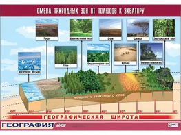 Таблица демонстрационная "Смена природных зон от полюсов к экватору" (винил 70*100) - fgospostavki.ru - Балахна