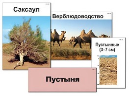 Модель-аппликация "Природные зоны России" (ламинированная) - fgospostavki.ru - Балахна