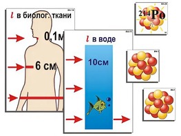 Модель-аппликация "Явление радиоактивности" (ламинированная) - fgospostavki.ru - Балахна