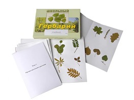Гербарий "Морфология растений" (6 тем, 30 видов) - fgospostavki.ru - Балахна