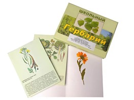 Гербарий "Систематика растений. Семейство Пасленовые. Крестоцветные. Сложноцветные" (раздаточный) - fgospostavki.ru - Балахна