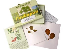 Гербарий "Систематика растений. Семейство Розоцветные" (раздаточный) - fgospostavki.ru - Балахна