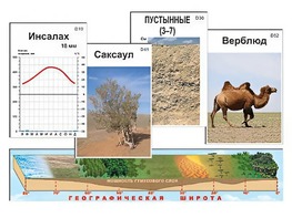 Модель-аппликация "Природные зоны" - fgospostavki.ru - Балахна
