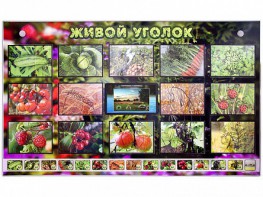 Комплект оборудования "Живой уголок" (растения) с тифлопереводом и сурдокомментариями - fgospostavki.ru - Балахна