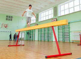 Бревно гимнастическое напольное постоянной высоты (700 мм) (5 м)	 - fgospostavki.ru - Балахна