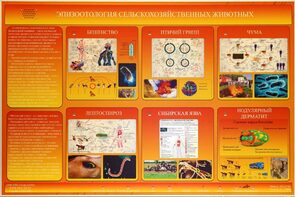 Электрифицированный стенд «Эпизоотология сельскохозяйственных животных» - fgospostavki.ru - Балахна
