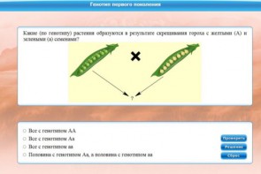 Интерактивные курсы. Биология 11 класс. Базовый. - fgospostavki.ru - Балахна