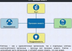 Интерактивные курсы. Биология 5 класс. Базовый - fgospostavki.ru - Балахна
