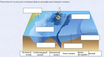 Интерактивные курсы. География 7 класс . Базовый. - fgospostavki.ru - Балахна