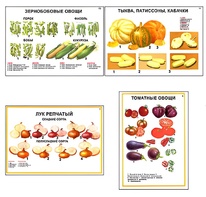 Плакаты ПРОФТЕХ "Ассортимент овощных культур" (12 пл, винил, 70х100) - fgospostavki.ru - Балахна