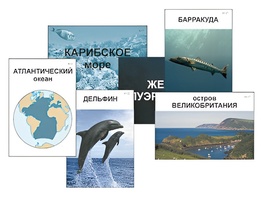 Модель-аппликация "Океаны. Знакомство" (ламинированная) - fgospostavki.ru - Балахна