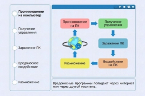 Интерактивные курсы. Информатика 10 класс . Базовый. - fgospostavki.ru - Балахна