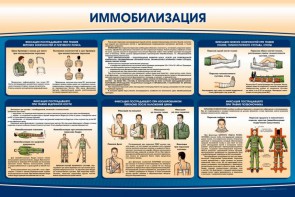 Стенд "Иммобилизация" - fgospostavki.ru - Балахна