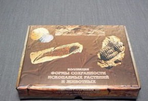 Коллекция "Формы сохранности ископаемых растений и животных" - fgospostavki.ru - Балахна