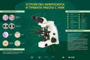 Электрифицированный стенд "Устройство микроскопа и правила работы c ним" - fgospostavki.ru - Балахна