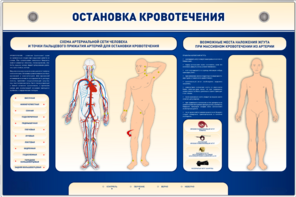Электрифицированный стенд-тренажер "Остановка кровотечения" - fgospostavki.ru - Балахна