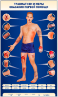 Электрифицированный стенд-тренажер "Травматизм и меры оказания первой помощи" - fgospostavki.ru - Балахна