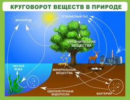 Стенд "Круговорот веществ" - fgospostavki.ru - Балахна