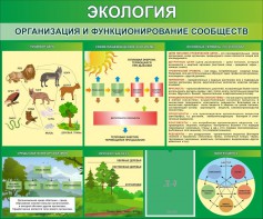 Стенд "Экология. Организация и функционирование сообществ" - fgospostavki.ru - Балахна