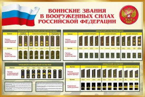 Стенд "Воинские звания в вооруженных силах РФ" - fgospostavki.ru - Балахна