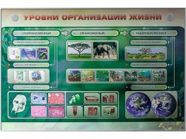 Электрифицированный стенд "Уровни организации жизни" - fgospostavki.ru - Балахна