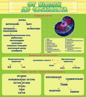 Стенд "От клетки до организма" - fgospostavki.ru - Балахна
