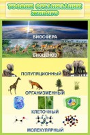 Стенд "Уровни организации живого" - fgospostavki.ru - Балахна