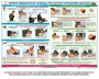 Комплект плакатов "Оказание первой доврачебной медицинской помощи" - fgospostavki.ru - Балахна