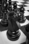 Напольные фигуры шахматные гигантские 61 - fgospostavki.ru - Балахна