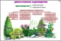 Комплект кодотранспарантов "Культурные растения" - fgospostavki.ru - Балахна