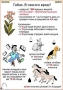 Комплект кодотранспарантов "Ядовитые растения" - fgospostavki.ru - Балахна