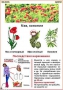 Комплект кодотранспарантов "Ядовитые растения" - fgospostavki.ru - Балахна